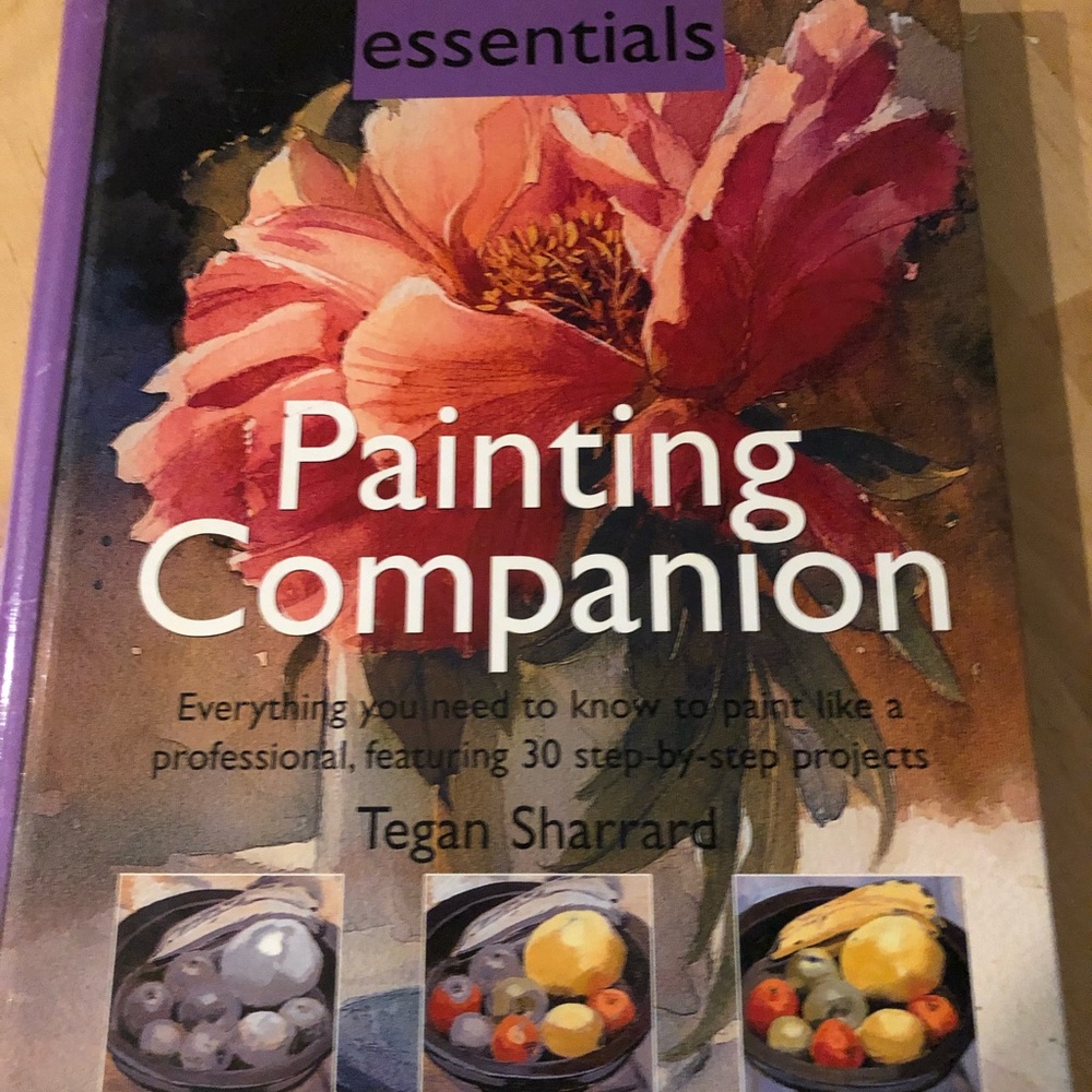 Hardcover Painting & Drawing Companion books